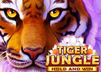 Tiger Jungle